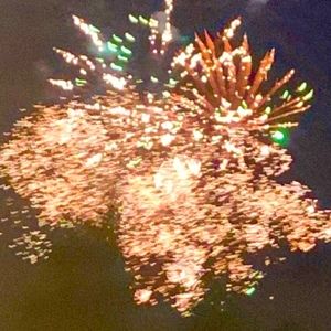 Meet your Posher, Jessie